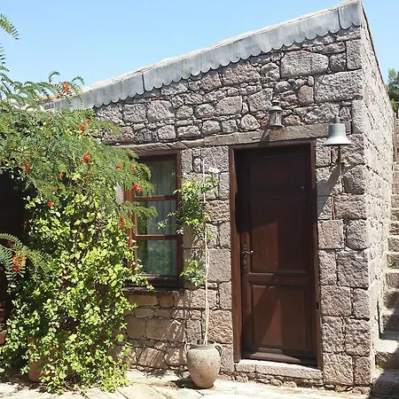 Assos Biber Evi *