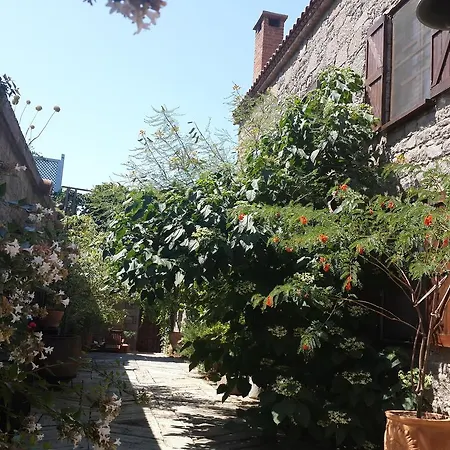 Assos Biber Evi Farm stay Assos