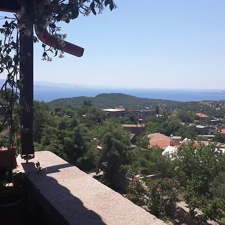 Assos Biber Evi Assos