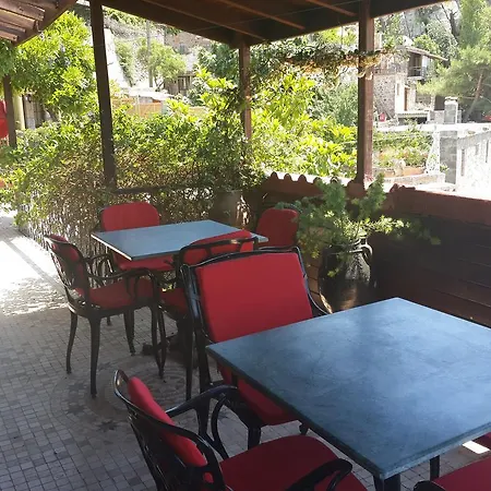 Assos Biber Evi