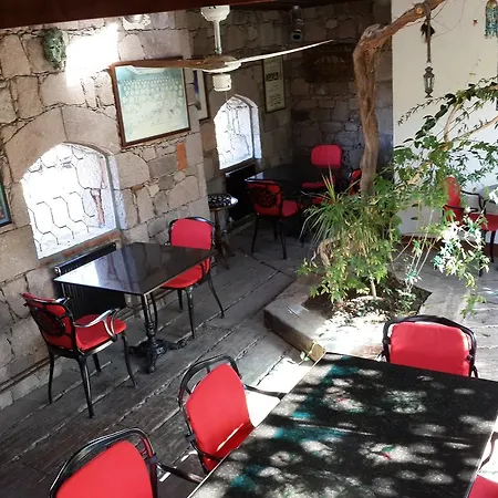 Assos Biber Evi