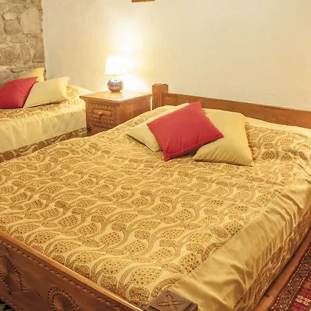 Assos Biber Evi *