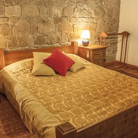 Assos Biber Evi *